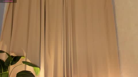 Celine online show from May 2026 12:32:01 PM