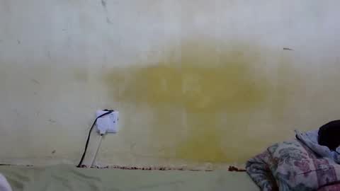 dark_princess1 online show from December 2025 07:06:01 AM