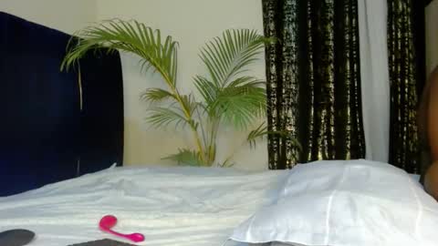 Tiff online show from December 2025 12:19:02 AM