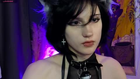 Snapshot of dark_vamp_ chatting on December 2024 12:08:02 AM Vamp online show from December 2024 12:08:02 AM