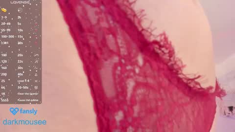 Snapshot of darkmousee chatting on December 2025 01:20:02 PM Grace online show from December 2025 01:20:02 PM