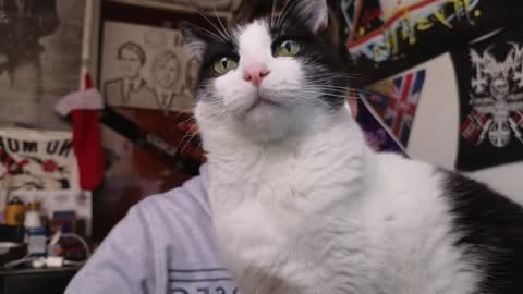 Darkness online show from December 2024 10:12:01 PM