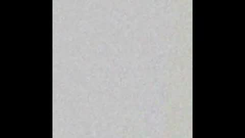 Ran online show from February 2026 04:27:02 PM