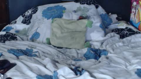 dasha6 online show from February 2025 07:23:02 AM