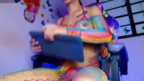 Dasly online show from June 2026 02:11:01 AM