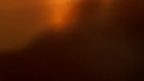 davdao3 online show from December 2025 07:16:02 AM