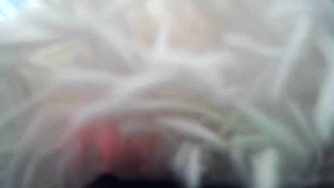 daverz3 online show from March 2026 08:42:01 AM