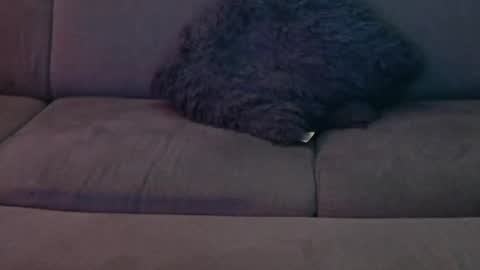 Sophie  Dave online show from January 2025 12:49:01 AM