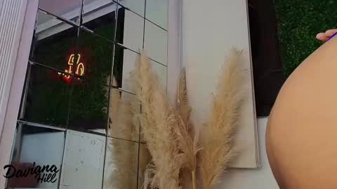 daviana_hill online show from February 2026 11:57:02 AM