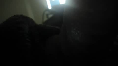 david089613 online show from January 2026 07:08:01 PM