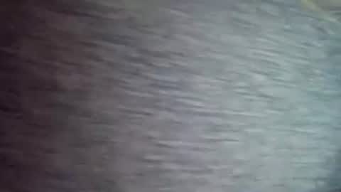 David1438 online show from April 2026 11:37:01 AM