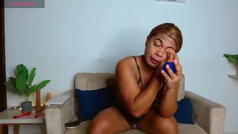 Noha online show from February 2026 10:03:02 AM