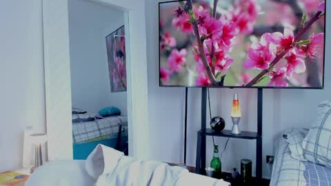 Hey im David that loves to explore and speak their fantasies. Very open talktative and nice. Feel free to chat with me online show from May 2026 12:43:02 PM