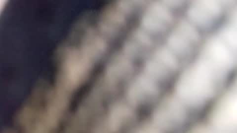 david_stone1969 online show from January 2025 01:56:02 PM