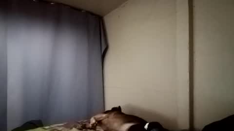 Juice cock online show from December 2024 04:18:01 AM