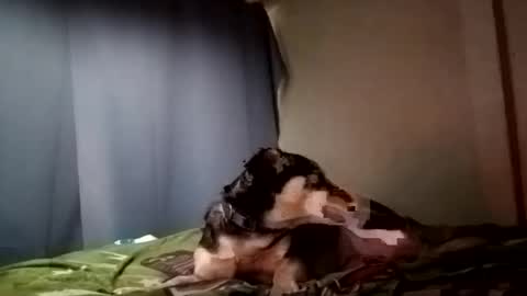 Juice cock online show from December 2024 09:30:02 PM