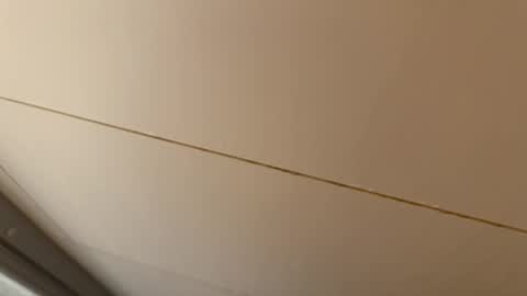 Hornybear online show from January 2026 07:02:02 AM