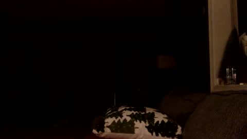 Dax online show from February 2026 05:46:01 AM