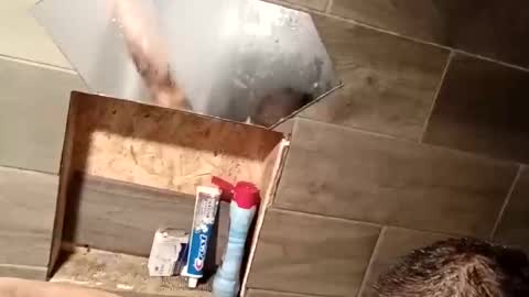 ddkjosh online show from December 2025 03:36:01 AM