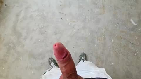 ddstyler2 online show from March 2026 09:37:02 AM