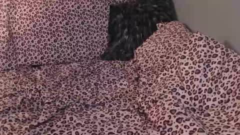 deadaux online show from February 2026 07:09:02 AM