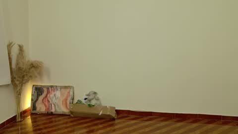 Dean online show from February 2026 08:45:02 PM