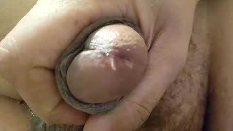 deathzamboni online show from December 2024 02:16:02 PM