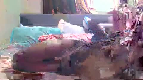 Snapshot of debbyslatter chatting on February 2025 09:13:02 AM debbyslatter online show from February 2025 09:13:02 AM