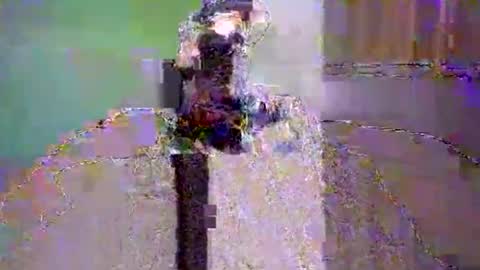 Snapshot of dee4dayz19 chatting on June 2026 01:51:02 AM Dee4dayz online show from June 2026 01:51:02 AM
