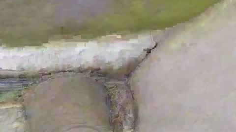 Snapshot of deepdiver3366 chatting on November 2025 02:08:01 PM Dive Deep online show from November 2025 02:08:01 PM