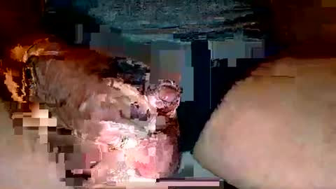 Snapshot of deepdiver3366 chatting on December 2025 06:03:02 PM Dive Deep online show from December 2025 06:03:02 PM