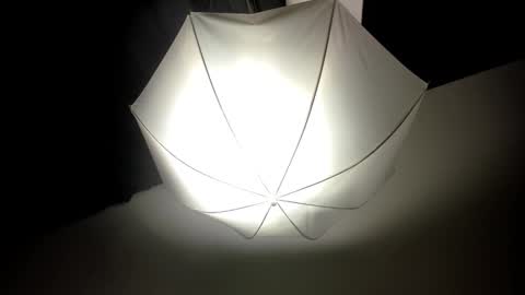 Snapshot of dei_v_48 chatting on February 2025 08:31:02 AM DEIVY online show from February 2025 08:31:02 AM