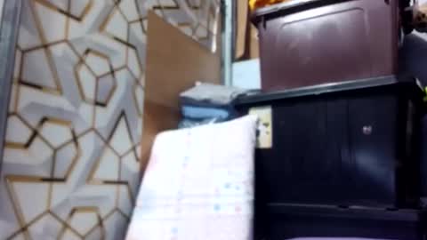 Snapshot of deliciousgirl975840 chatting on June 2026 07:15:02 PM deliciousgirl975840 online show from June 2026 07:15:02 PM