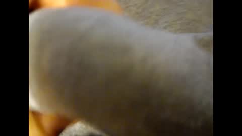 deliv_shopi online show from November 2025 04:18:01 PM