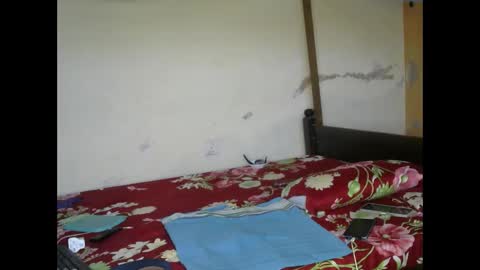 Ginger online show from March 2025 03:52:02 AM