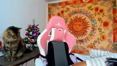 Snapshot of demeter__ chatting on December 2024 04:53:02 PM demeter__ online show from December 2024 04:53:02 PM