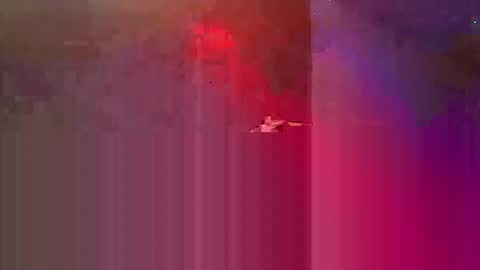 den2807 online show from May 2026 10:49:02 PM
