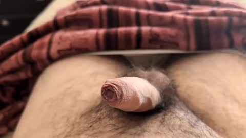 Snapshot of denis647 chatting on February 2025 02:26:02 PM LilRoach online show from February 2025 02:26:02 PM