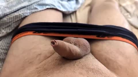 Snapshot of denis647 chatting on February 2025 02:04:02 PM LilRoach online show from February 2025 02:04:02 PM