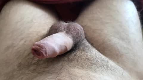 LilRoach online show from December 2025 03:17:01 PM