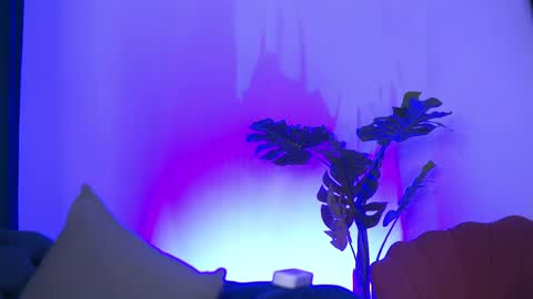 denisedevilles online show from May 2026 08:47:02 PM