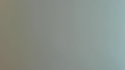 dennis munera online show from January 2025 02:32:01 PM