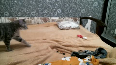 DennisXCarol online show from February 2025 05:31:02 PM