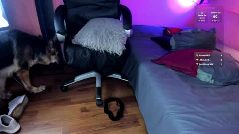 Snapshot of desi_latin chatting on April 2026 09:06:02 PM NTMY guys im a kinda desi from Medellin online show from April 2026 09:06:02 PM