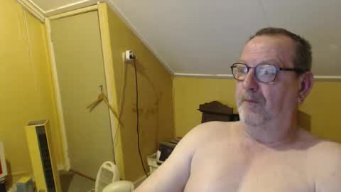 destelp online show from May 2026 04:29:01 AM
