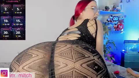 Andrea Mitchelle online show from May 2026 06:49:02 PM