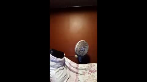 devensingh online show from March 2026 05:34:01 AM