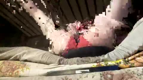 deviantlyourz online show from October 2025 09:31:01 AM