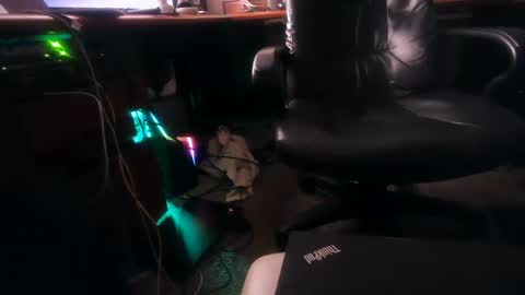 Snapshot of dfwgonewrong chatting on February 2025 10:54:02 AM dfwgonewrong online show from February 2025 10:54:02 AM