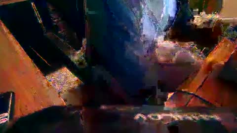 Snapshot of dfwgonewrong chatting on February 2025 10:23:02 AM dfwgonewrong online show from February 2025 10:23:02 AM